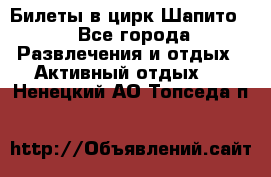 Билеты в цирк Шапито. - Все города Развлечения и отдых » Активный отдых   . Ненецкий АО,Топседа п.